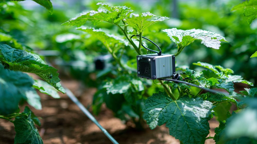 Sun-Powered Shift in Pest Control